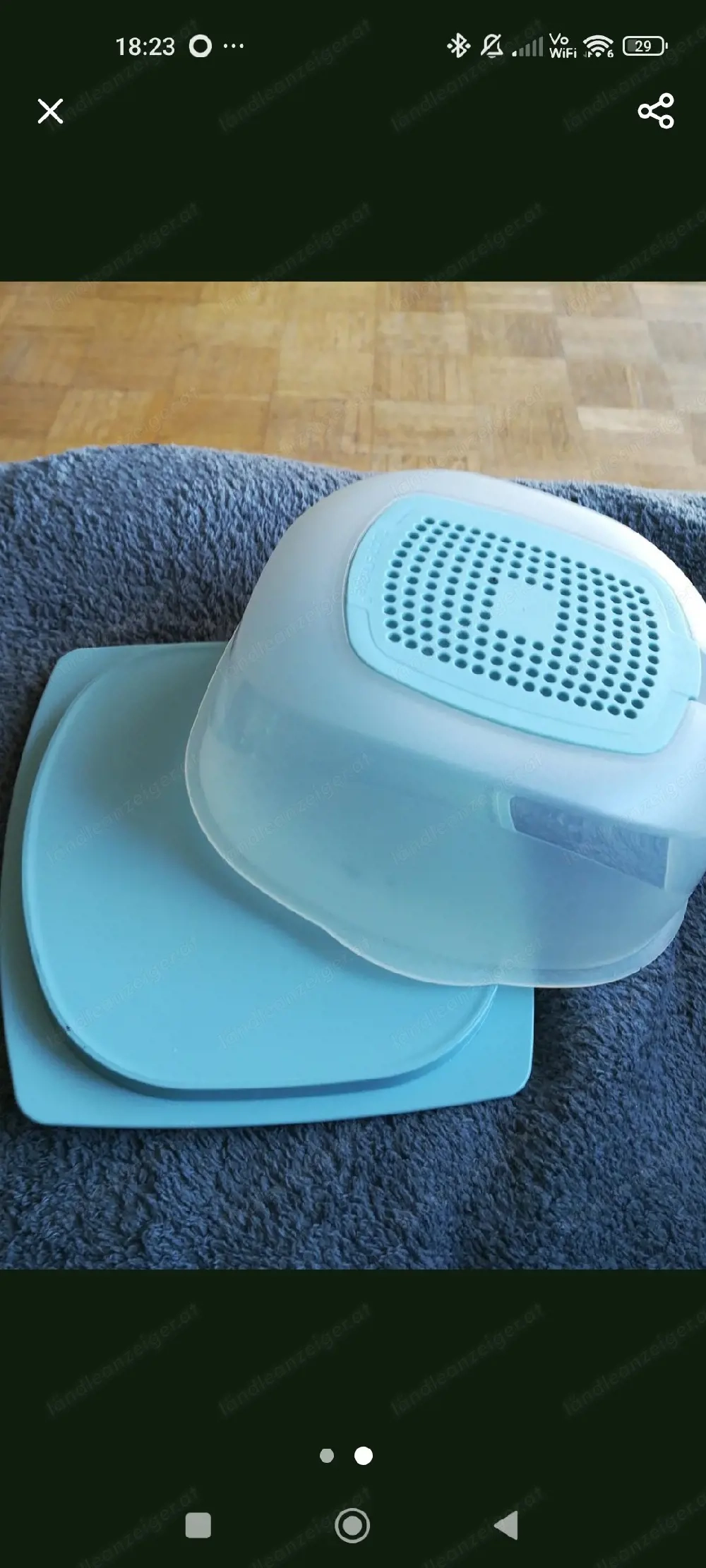 Kleiner Käse Max