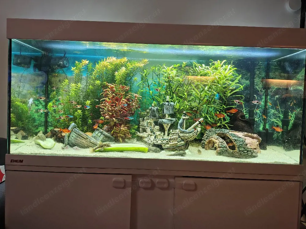 Aquarium 200l