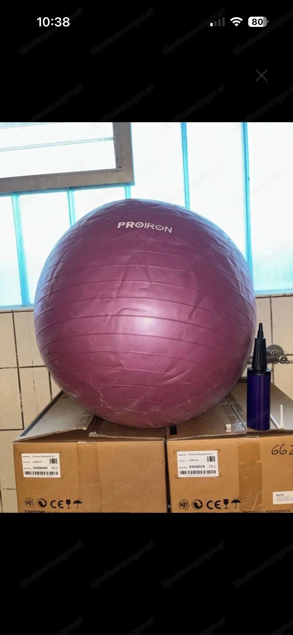 schwangere ball(inkl pumpe)