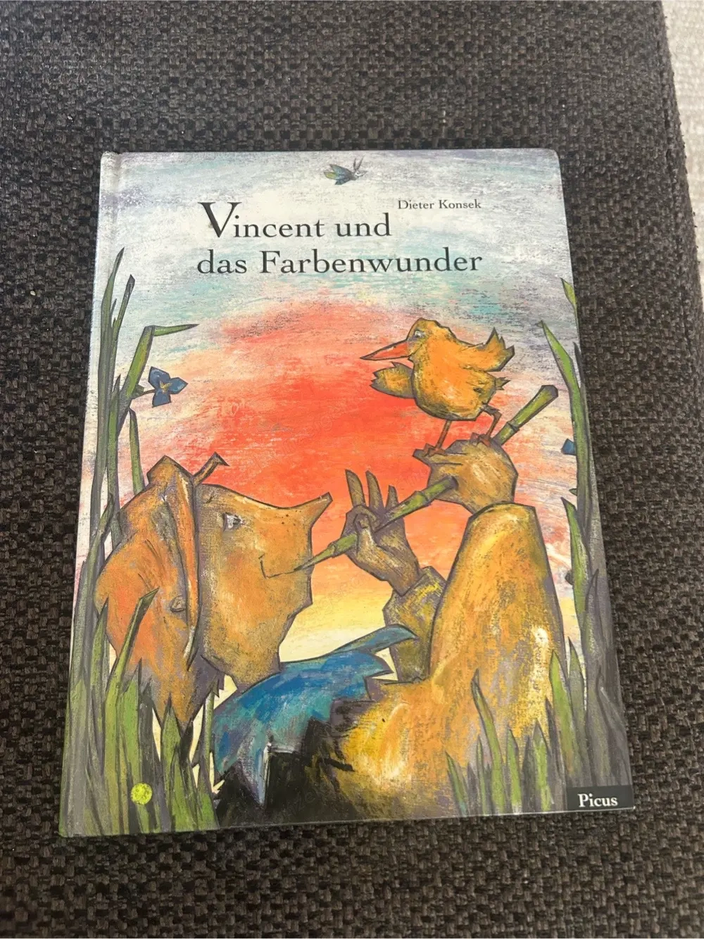 Vincent und das Farbenwunder