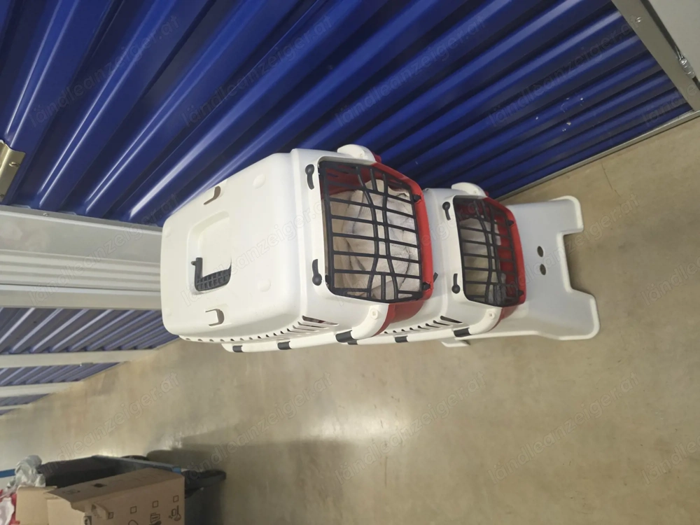 Katzetransportbox 