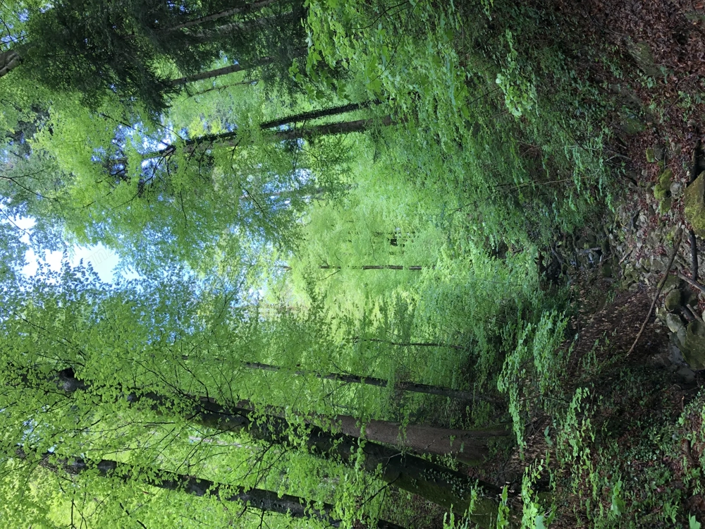 Atme Lebe Werde - Breathworkreihe