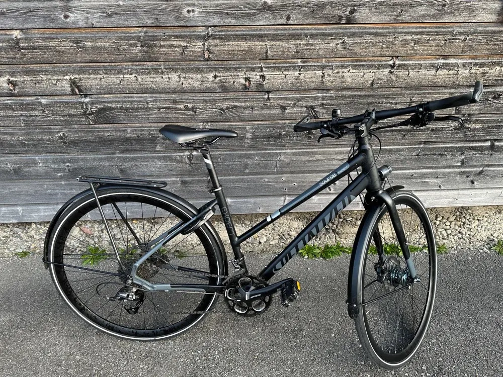 Fahrrad Specialized Source Expert