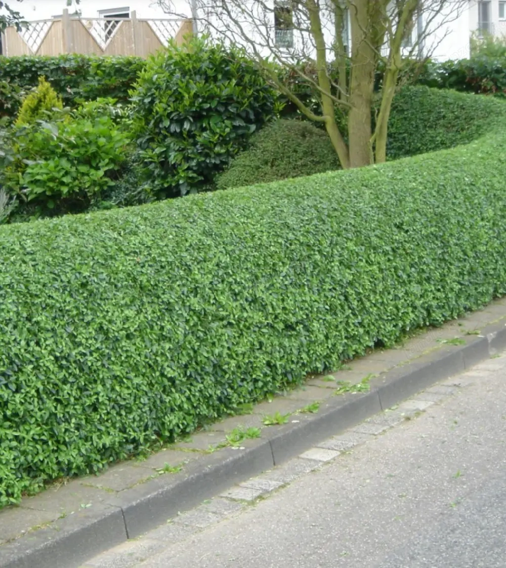 gartenarbeit