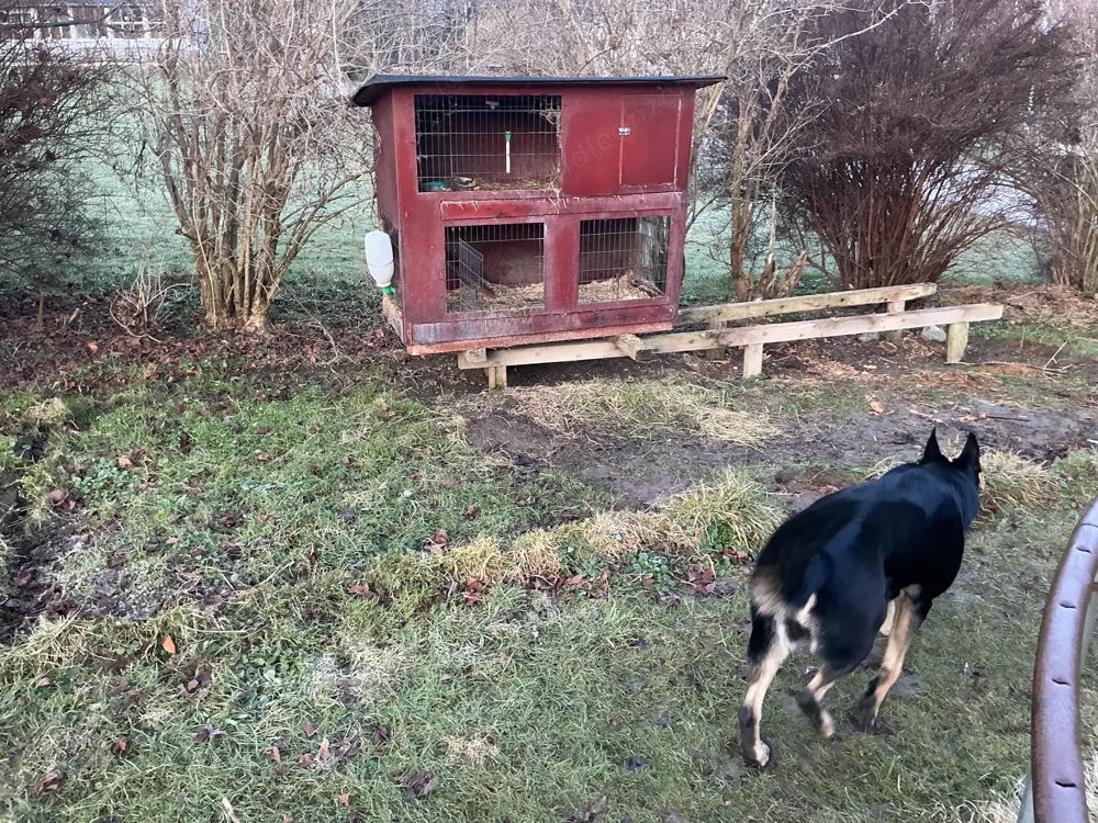 Hasen Stall gebraucht Marke Eigenbau 