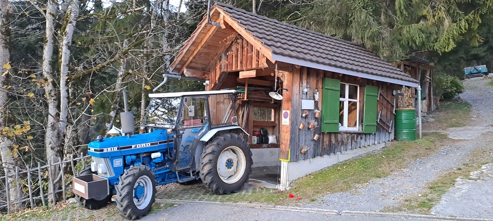 Traktor Ford Allrad 3610