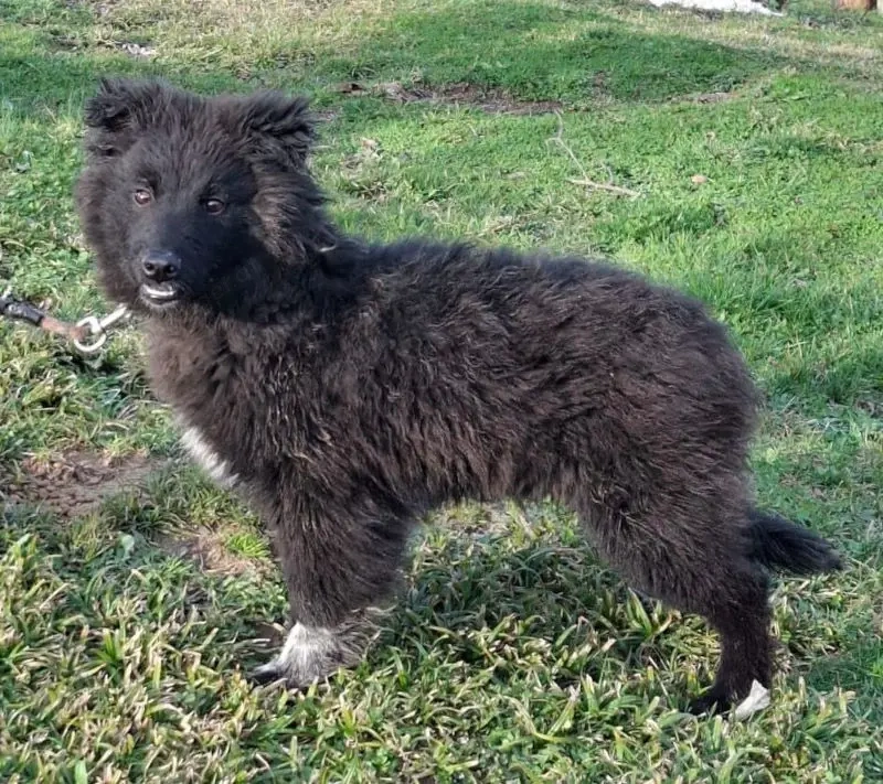 Nera wartet sehnsüchtig auf SIE