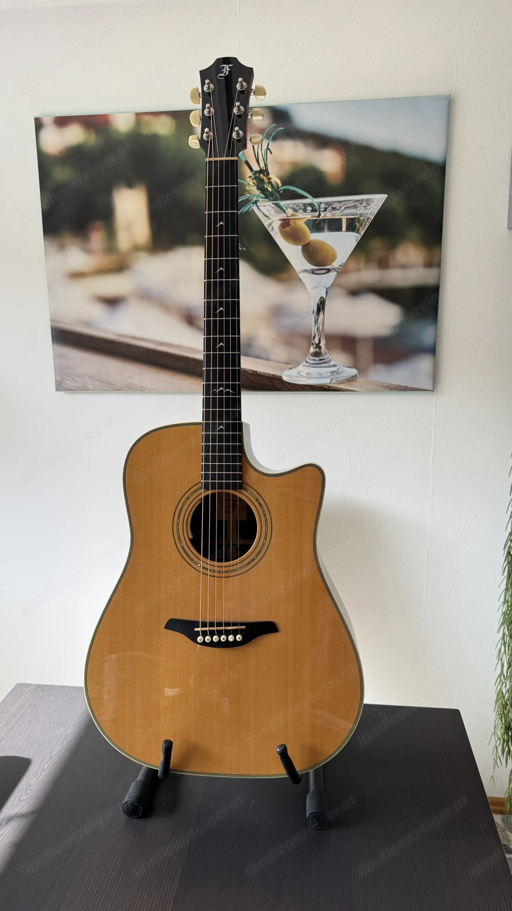 Furch D 24 SR CUT Westerngitarre