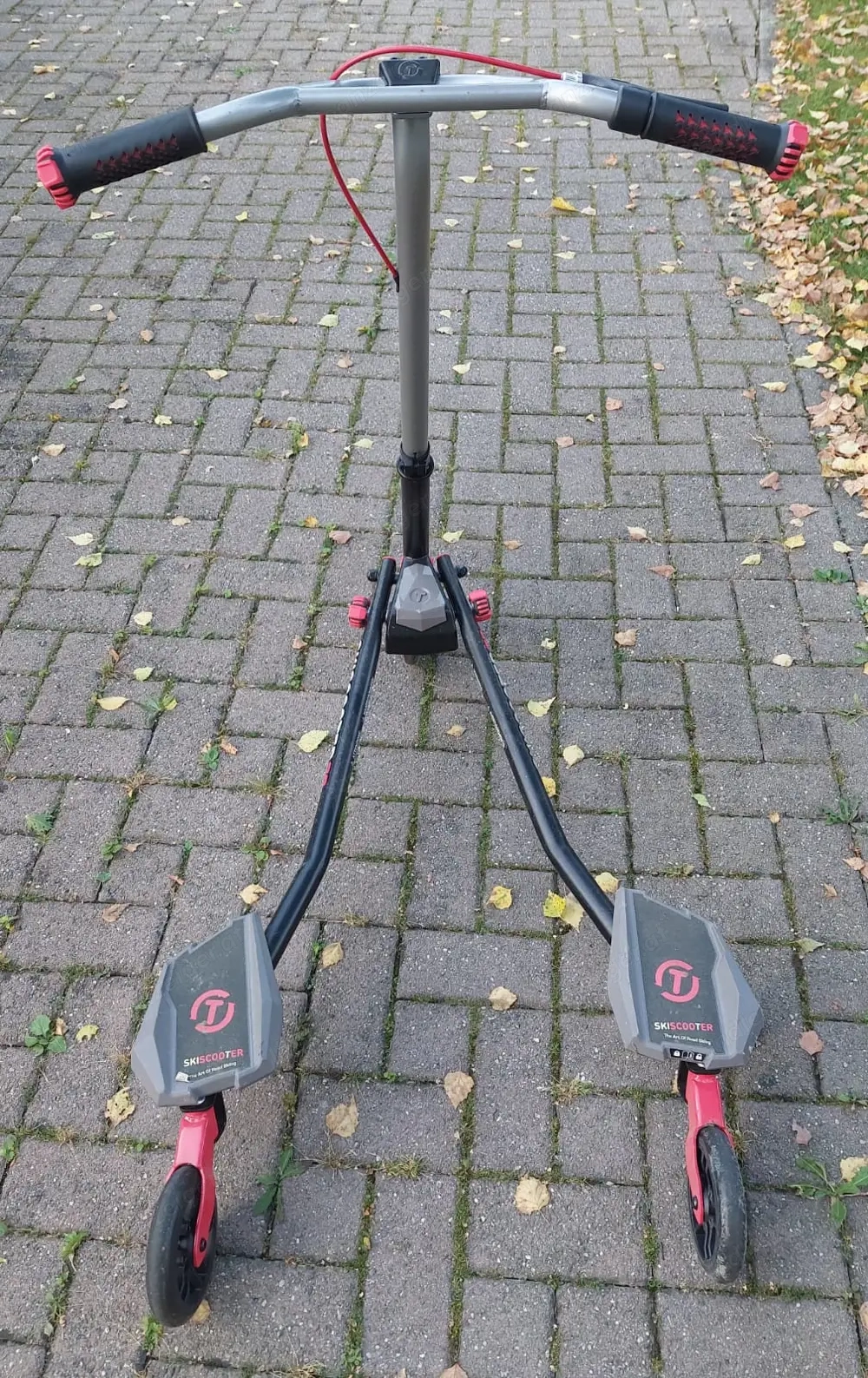 Scooter Roller