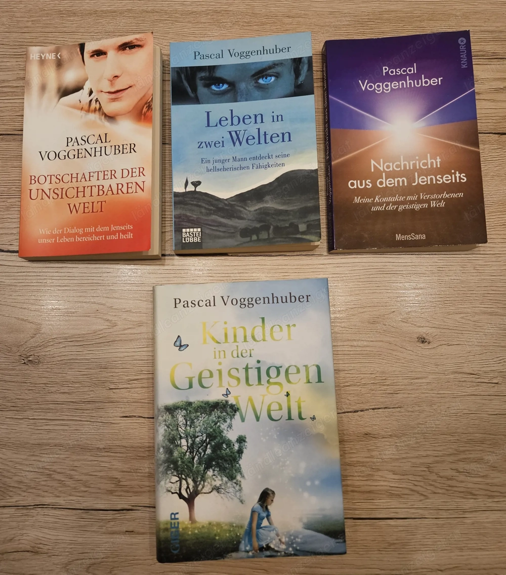 Bücher von Pascal Voggenhuber
