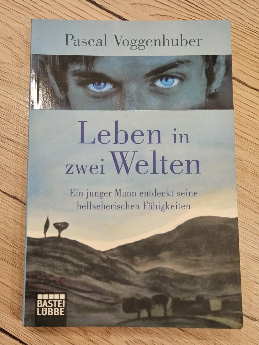 Buch von Pascal Voggenhuber