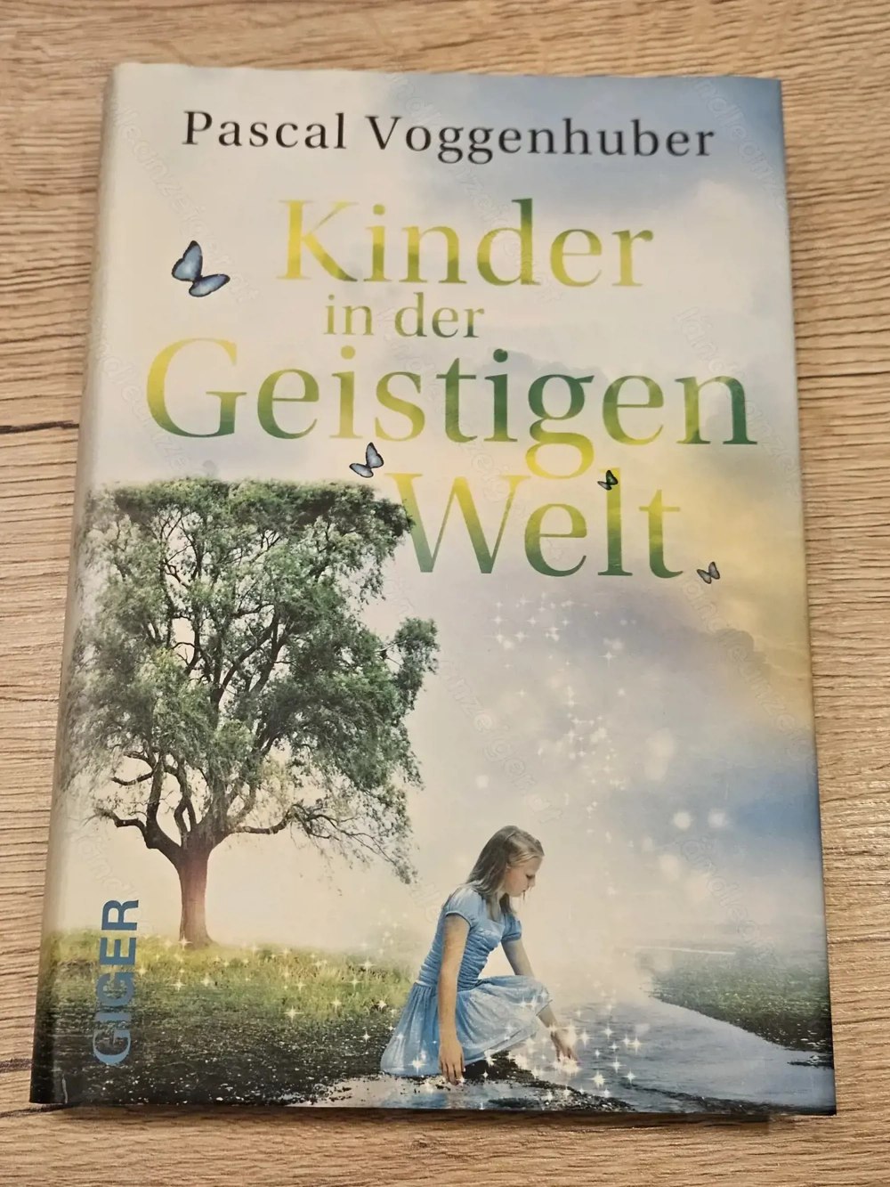 Buch von Pascal Voggenhuber