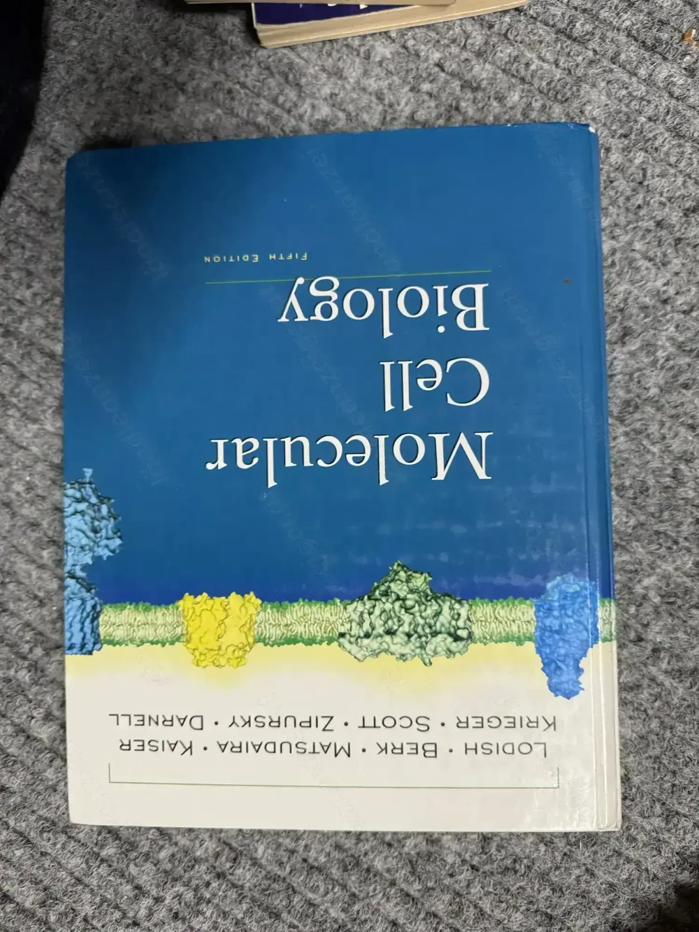 Molecular Cell Biology