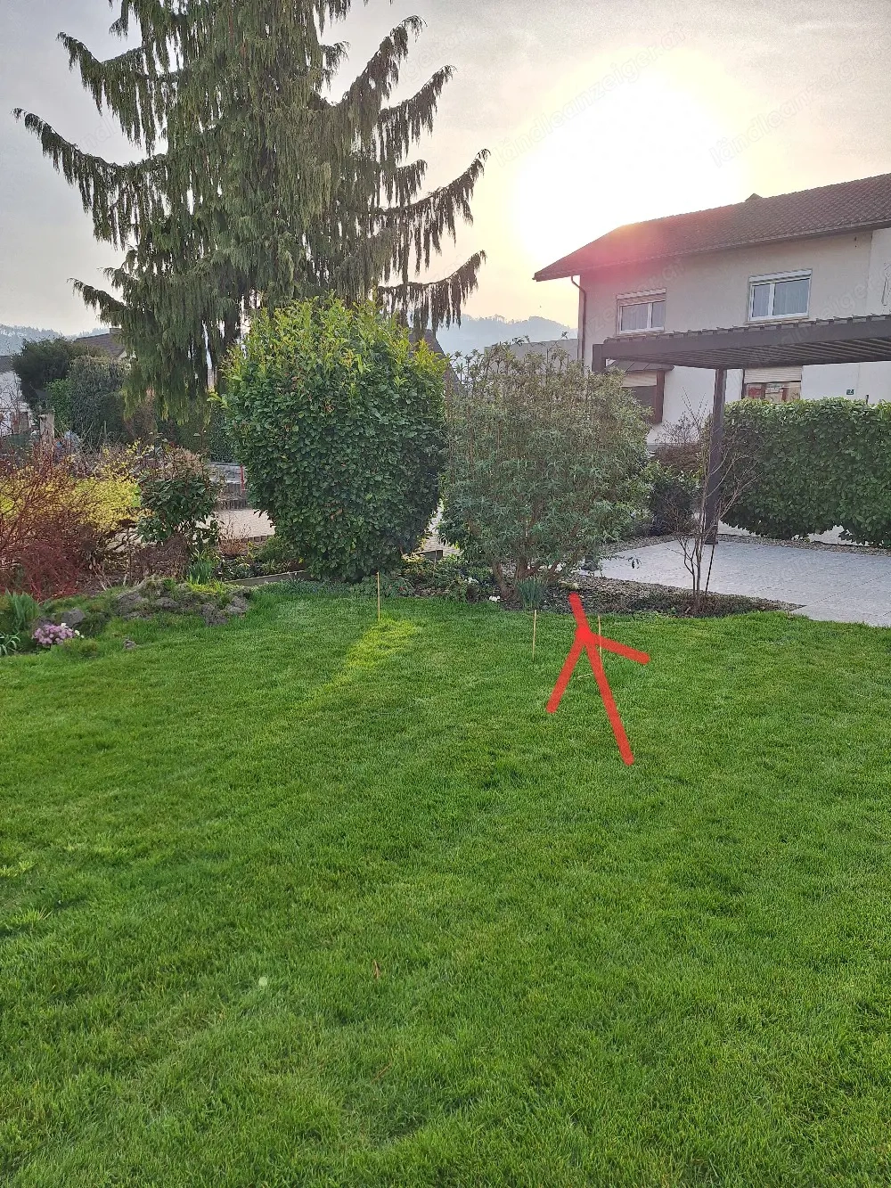 weißer Flieder Busch 