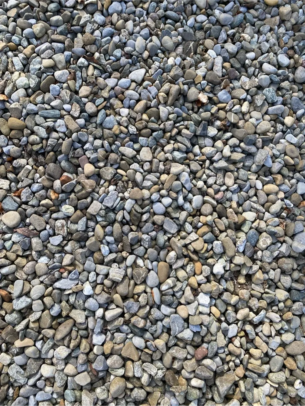 Flusskiesel zu verschenken