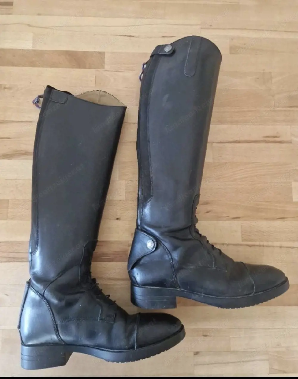 Reitstiefel Steeds Größe 40