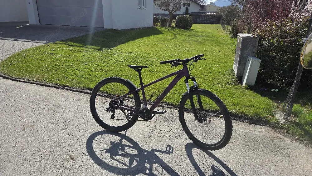 Fahrrad Cube purple 27,5