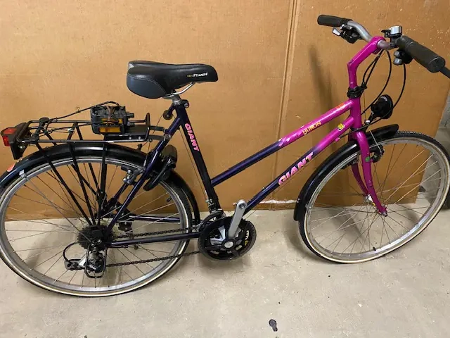 Jugendfahrrad Giant Huron