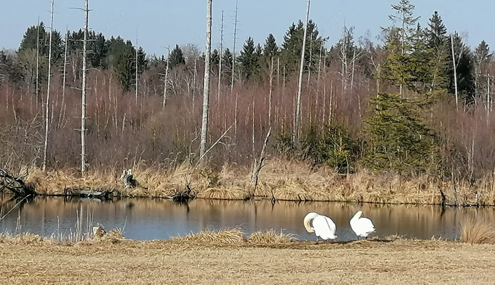 Rad fahren gemeinsam