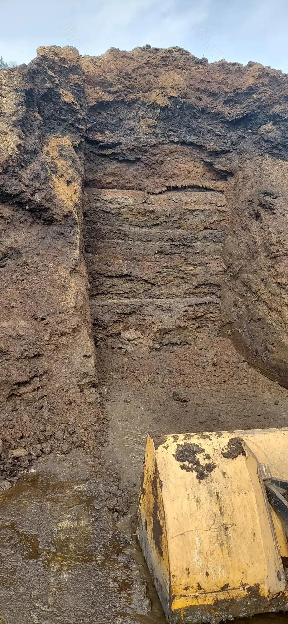 Pferdemist als Dünger 