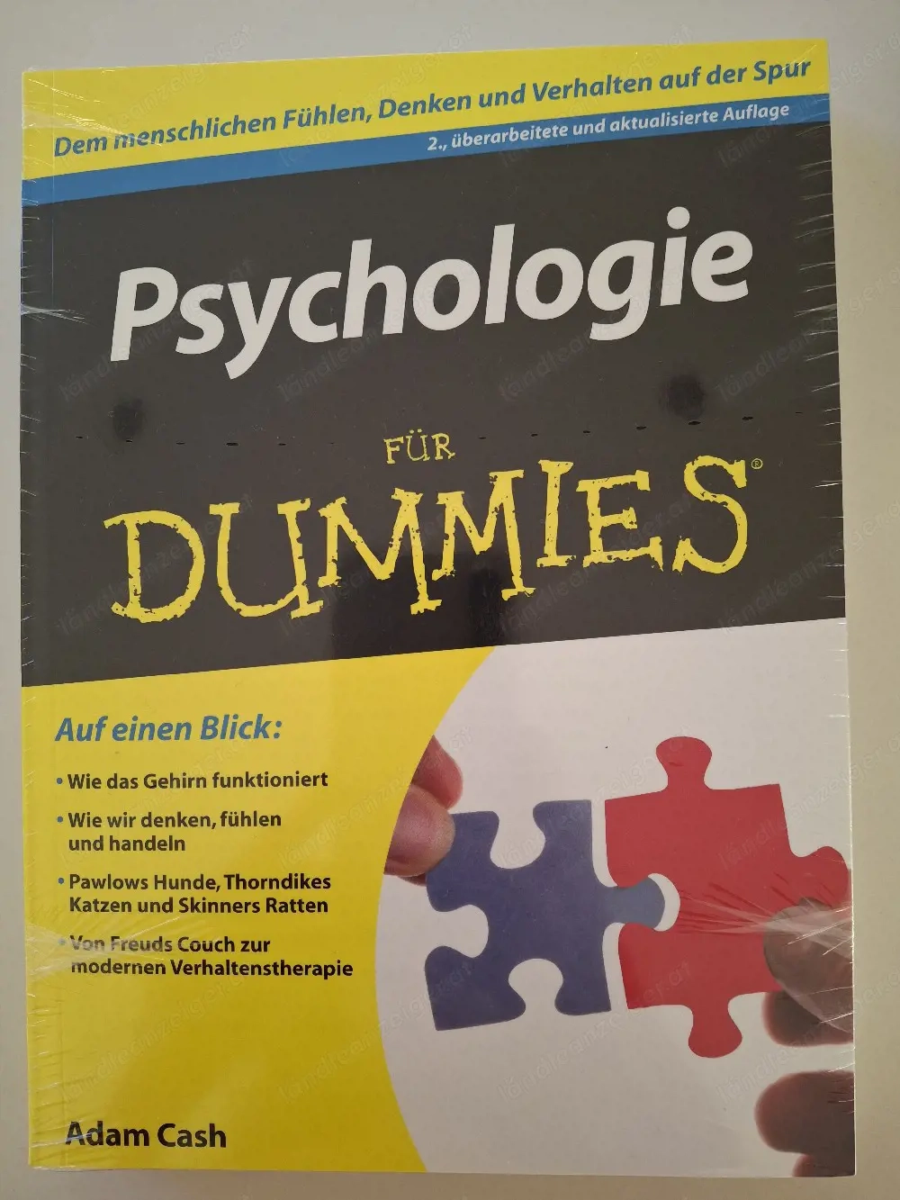 Psychologie für dummies 