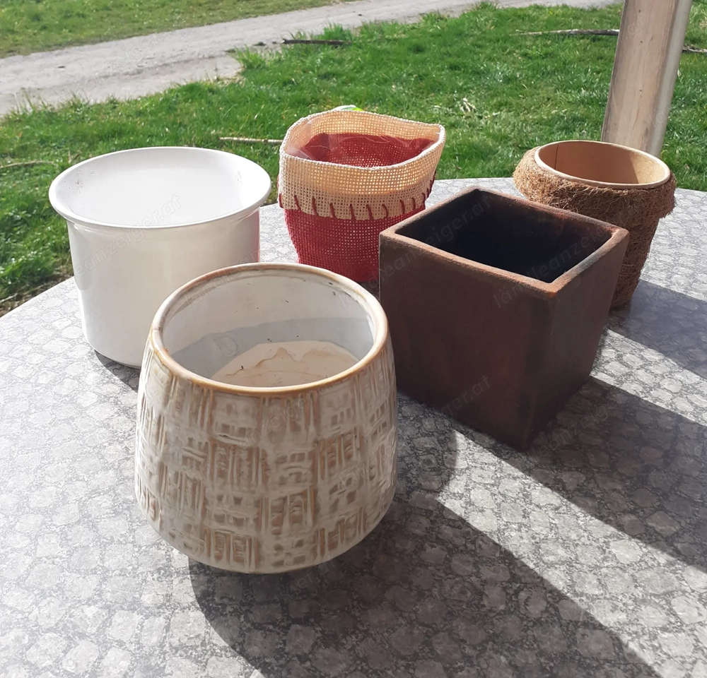 Blumentöpfe   Übertöpfe zu verschenken