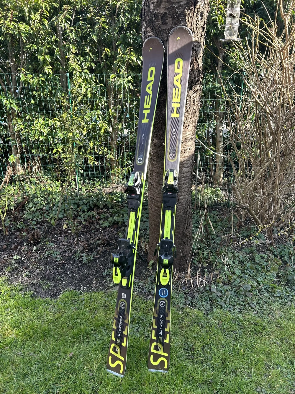 HEAD Supershape e-Speed Race Alpinski