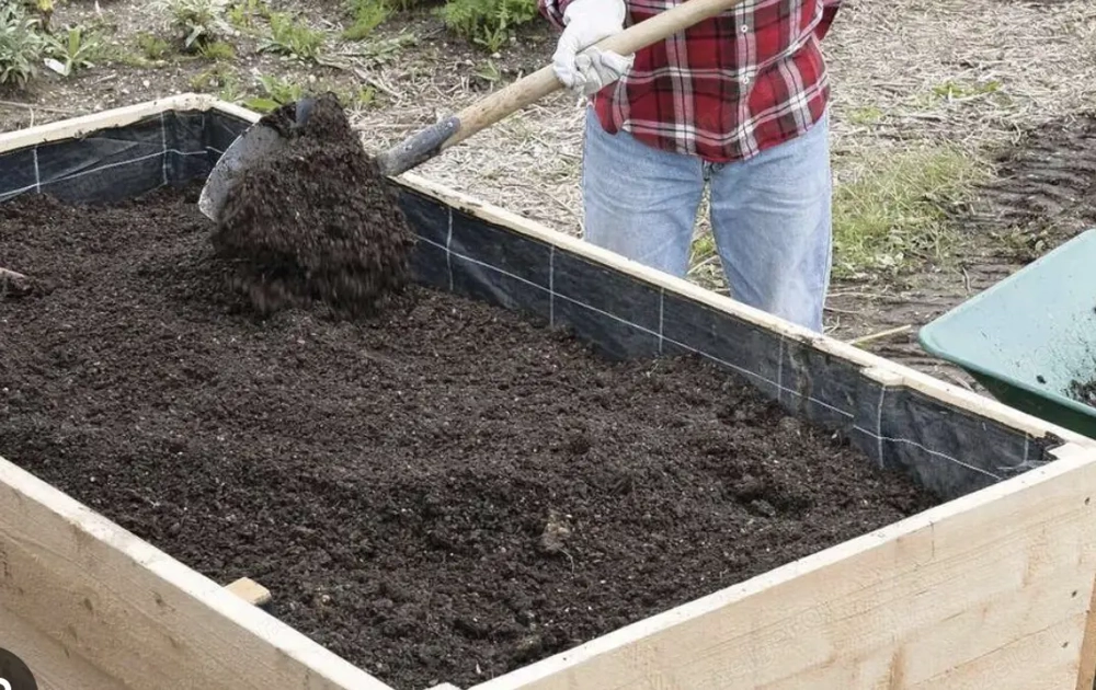 SUCHE:  Humusreiche Erde für  unser Hochbeet