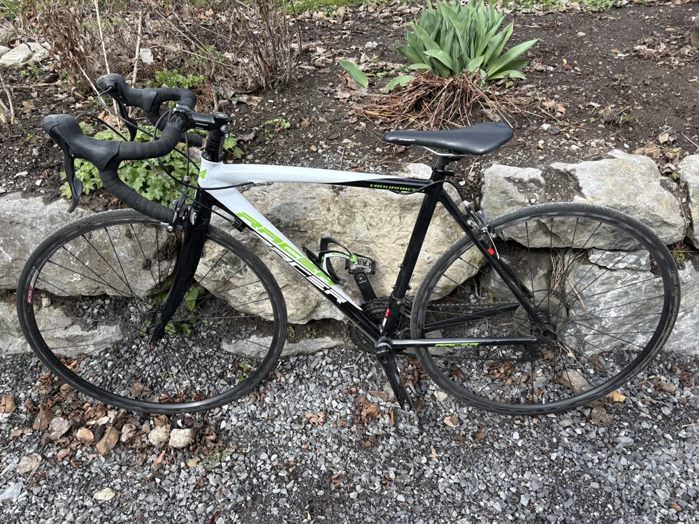 Rennrad Damen Racer Größe S