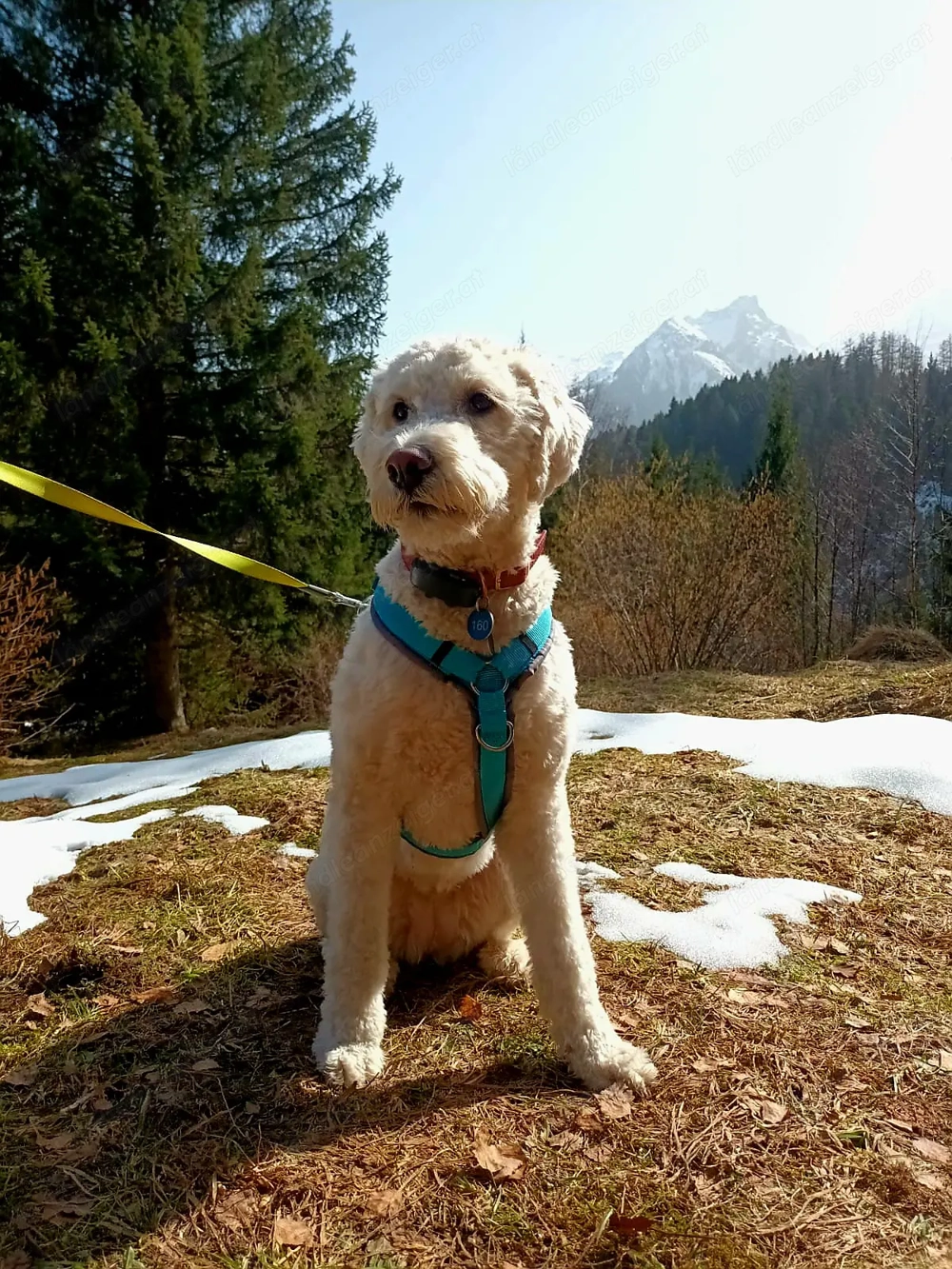 Wir suchen ein kleines Haus im Raum Bludenz 