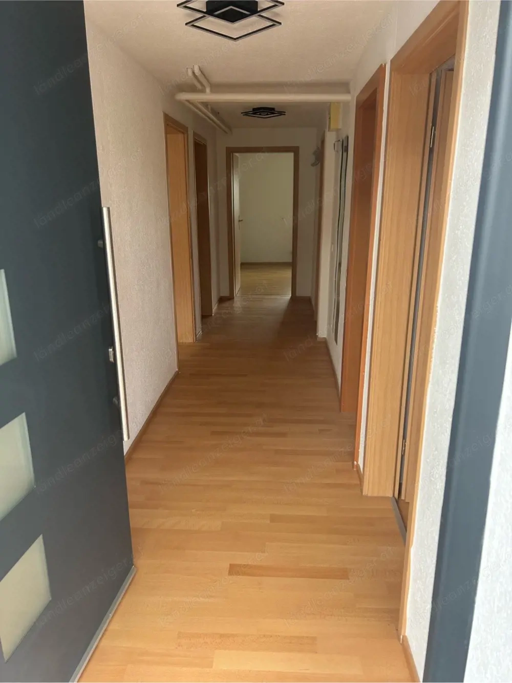 3,5 Zi wohnung zu vermieten 