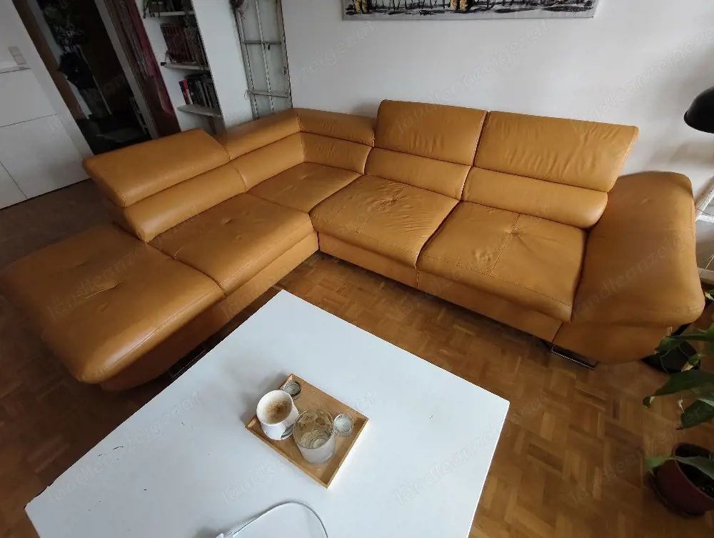 Wohnlandschaft aus Leder