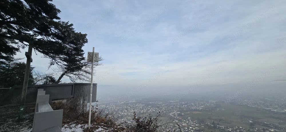 Suche Lebens Frohe Dame