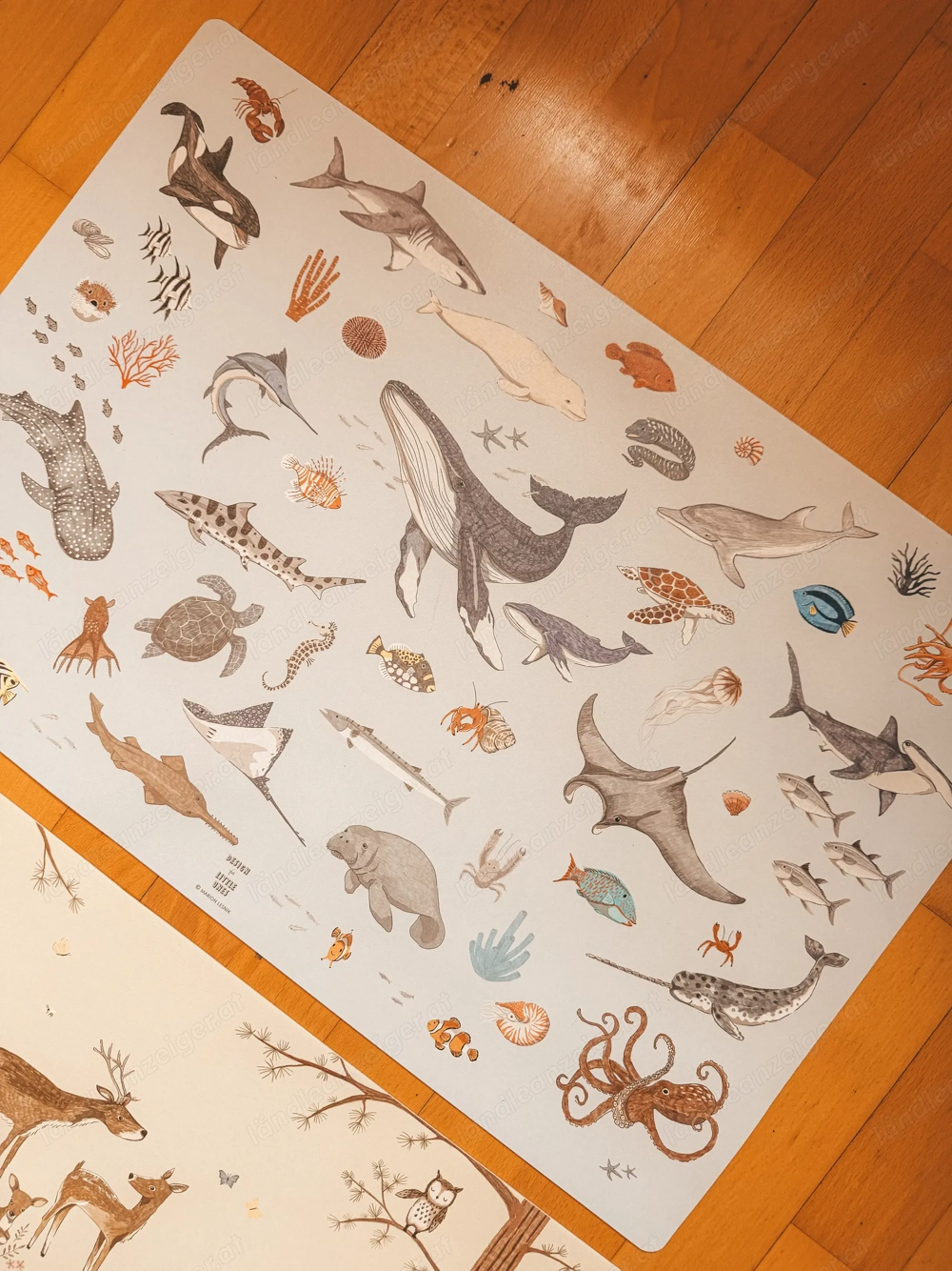 10 hochwertige Kinder-Schreibtischunterlagen