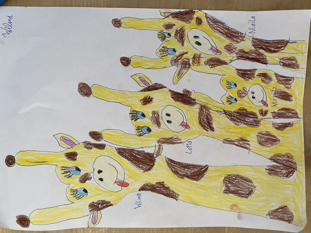 GESUCHT: Haus oder Gartenwohnung in Feldkirch