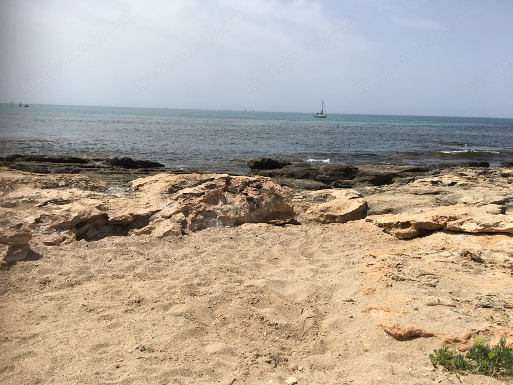 Lustige nette adrette Frau gesucht 