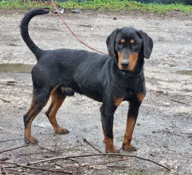 Seno wartet auf SEINE aktiven Menschen