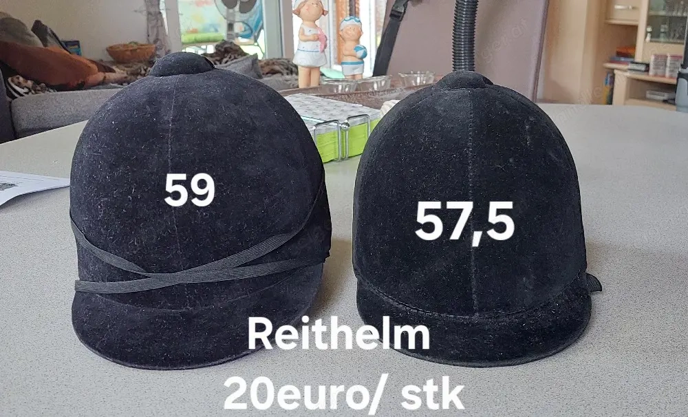 Reithelm, Stiefel, Hose, Shirt