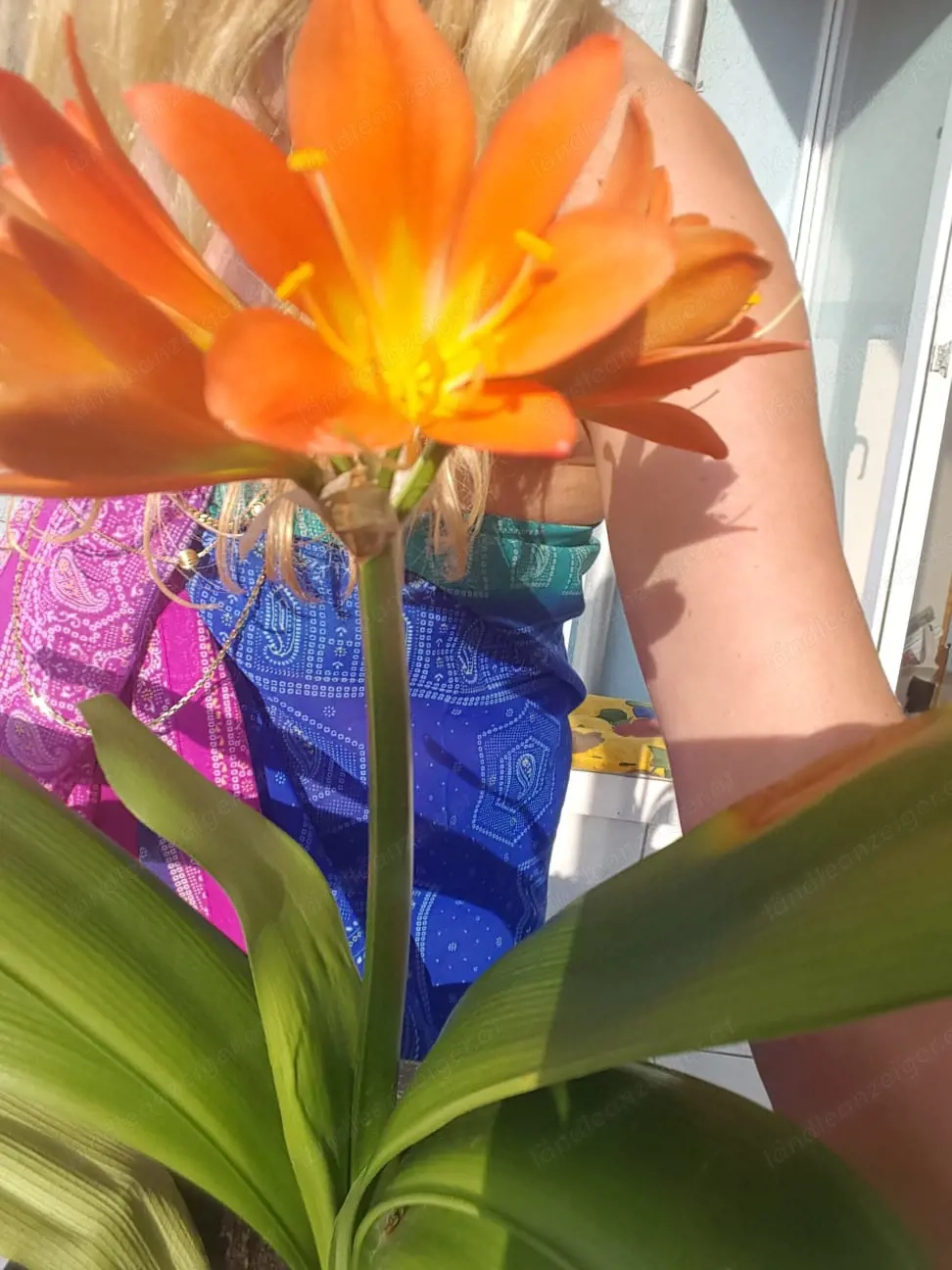 Massagen zum wohlfühlen für reifen Menschen 