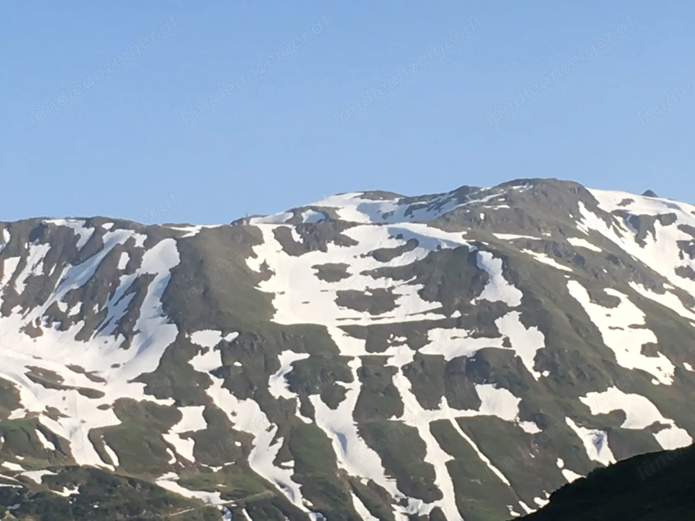 Lustige-nette-adrette Frau gesucht