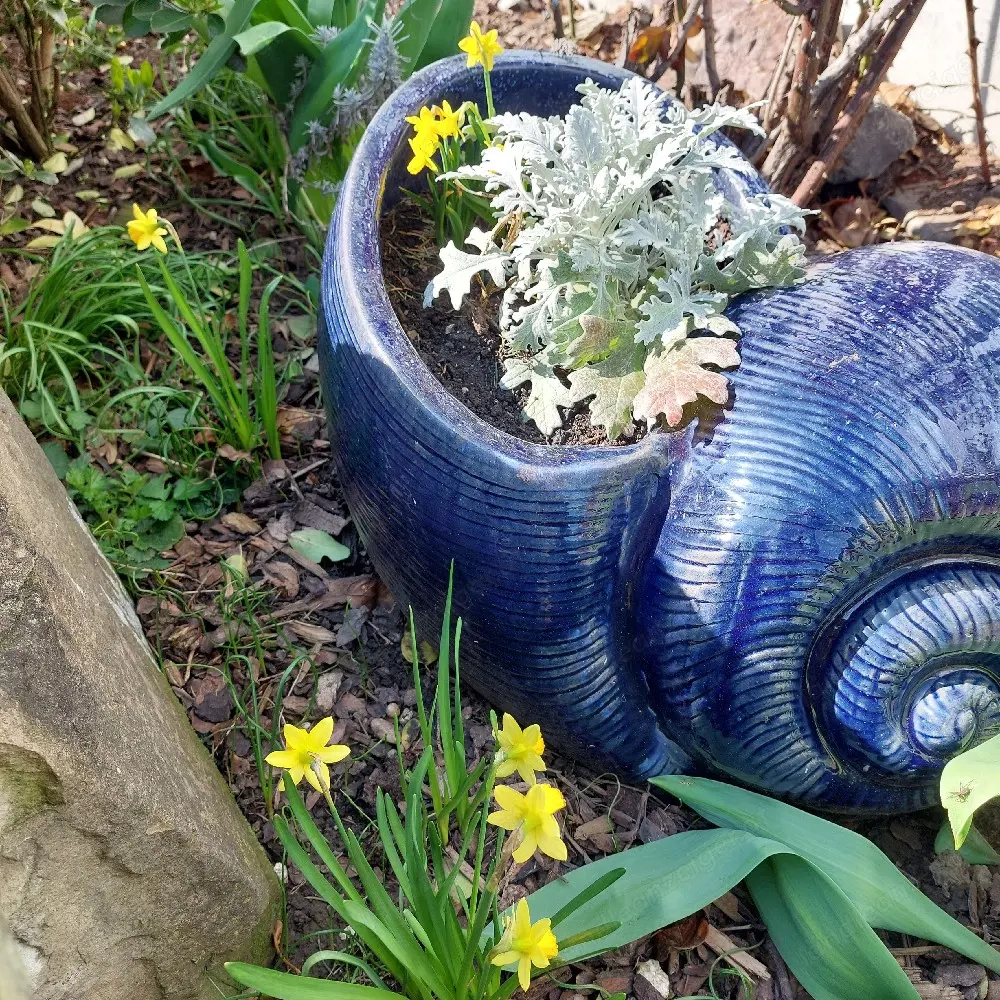 Eigenheim gerne Einfamilienhaus gesucht Nähe Feldkirch Thüringen 