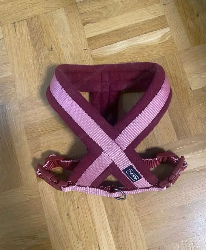 Set Geschirr für kleine Hunde Gr. XS  S