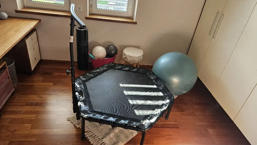 Jumping Fitness Trampolin 110 cm Training