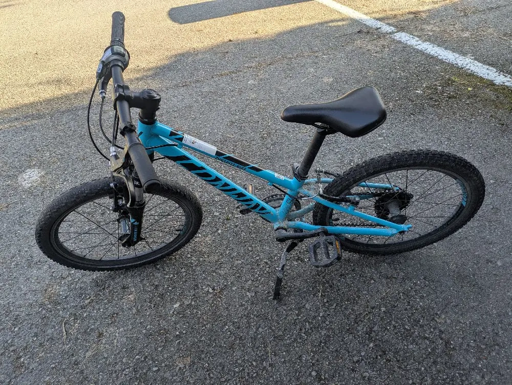 Kinderfahrrad Conway 20 Zoll 