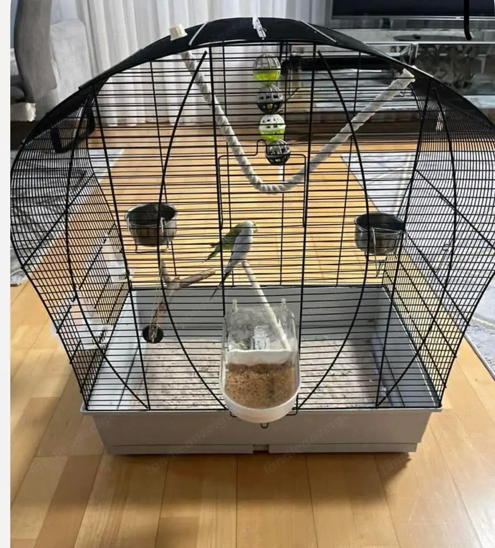 Vögel käfig zum verkaufen 