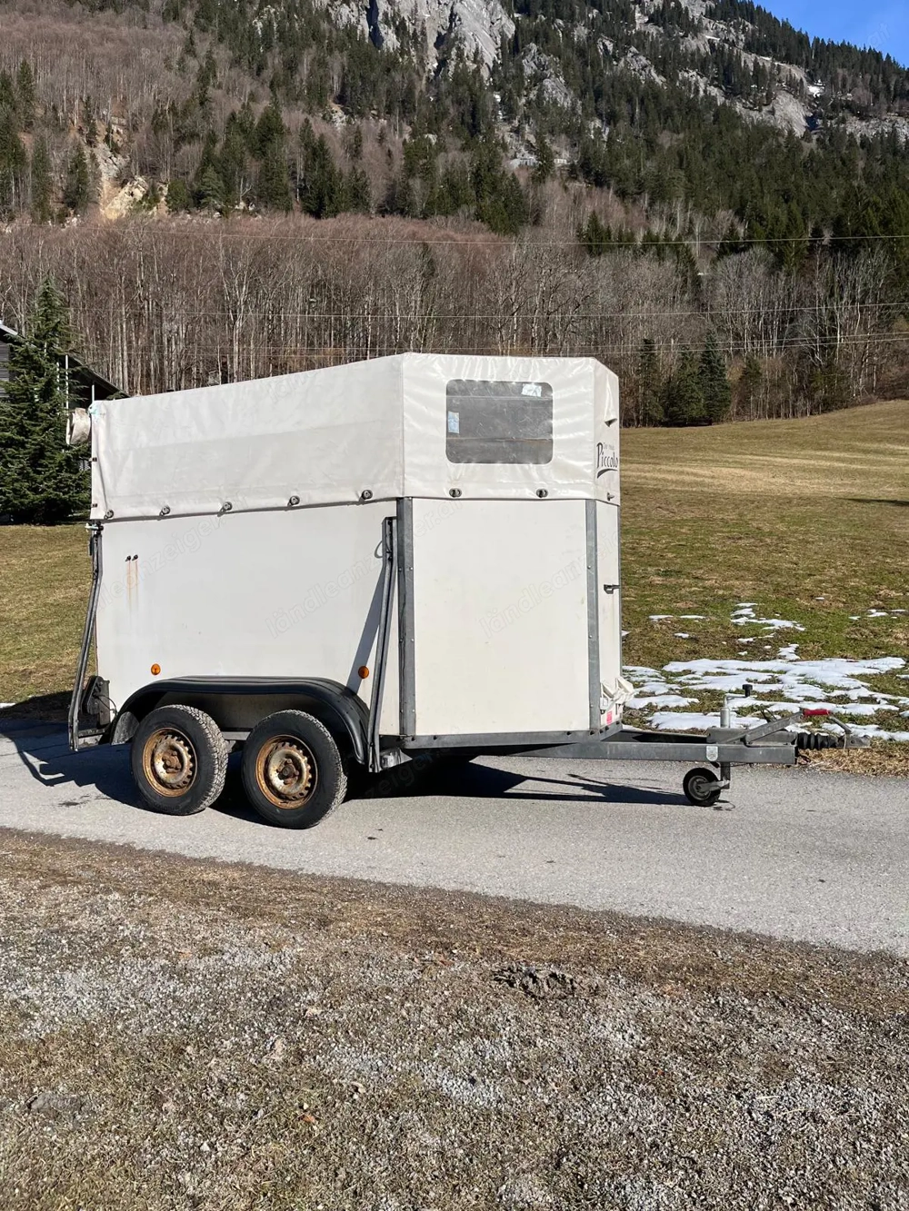 Wörrmann Piccolo Kleinpferdeanhänger