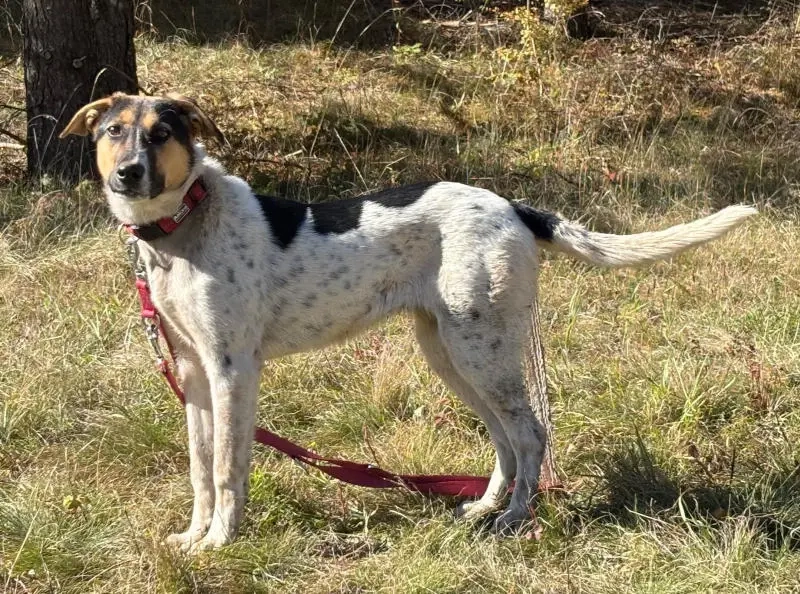 Sasy wartet auf IHRE Familie