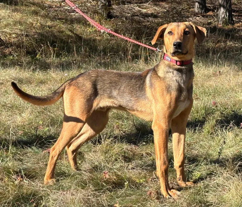 Solo sucht aktive Menschen