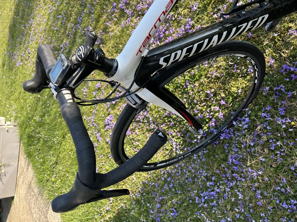 Rennrad Specialized Tarmac Carbon