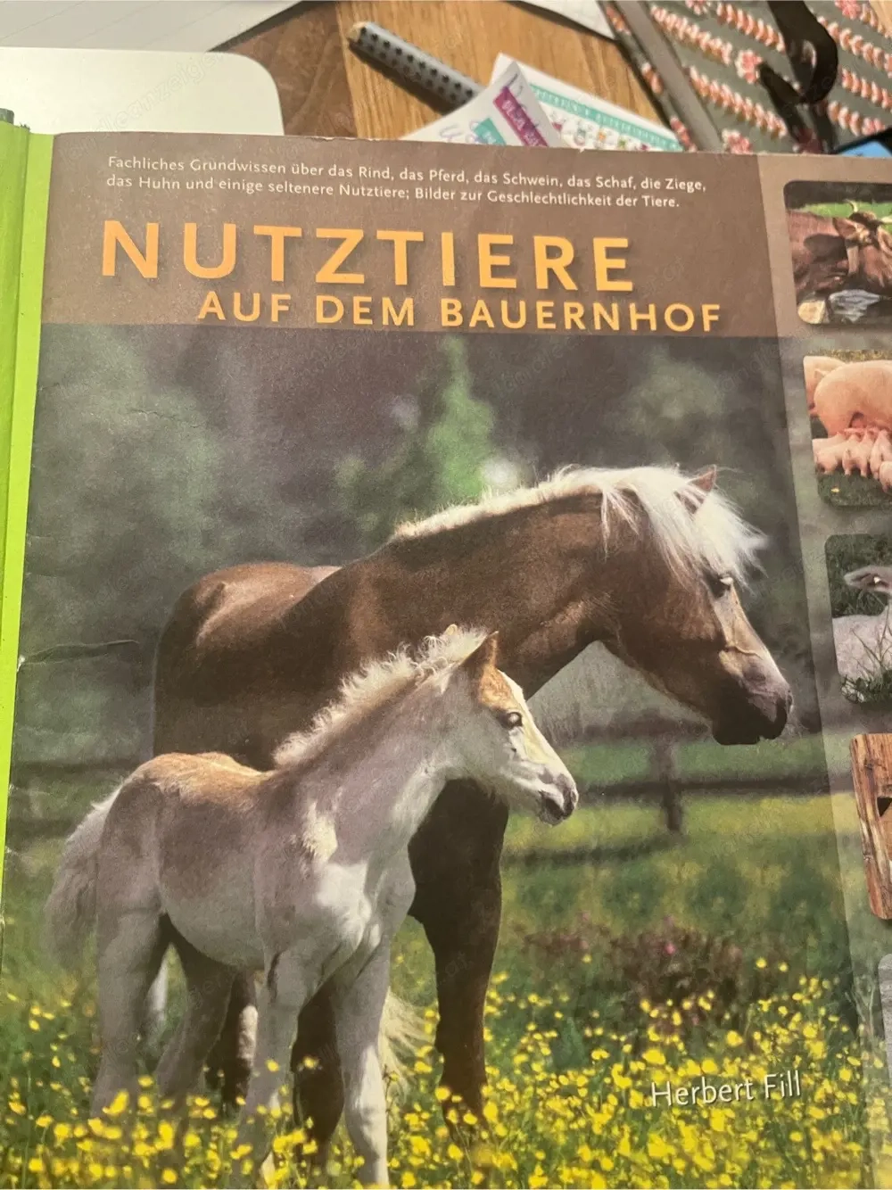 Nutztiere auf dem Bauernhof für Kinder ab dem 3. Lebensjahr und für Erwachsene